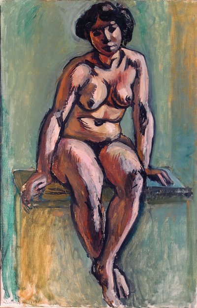 Nudo seduto da Henri Matisse
