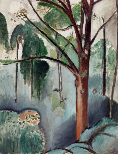 Alberi al lago di Trivaux da Henri Matisse