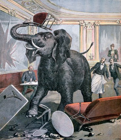 Un elefante nel Caffè Pre-Catalan, Tolosa, Francia, 1891 da Henri Meyer