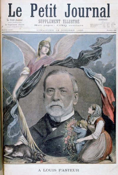 Louis Pasteur, chimico francese da Henri Meyer