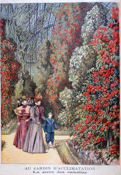 La serra delle camelie, giardini zoologici, Parigi da Henri Meyer