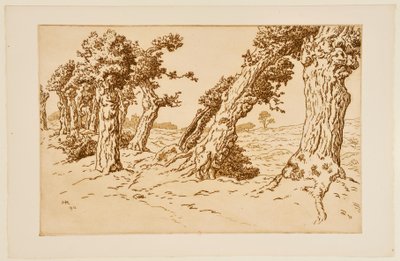 Knotige Baumstämme da Henri Rivière