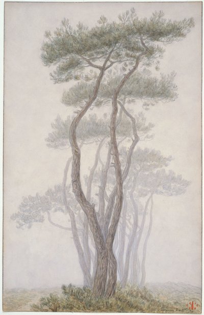  da Henri Rivière