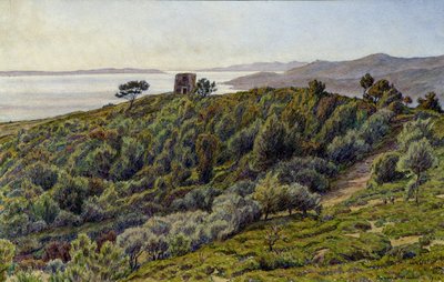 Vecchia torre e le isole di Hyeres da Henri Rivière