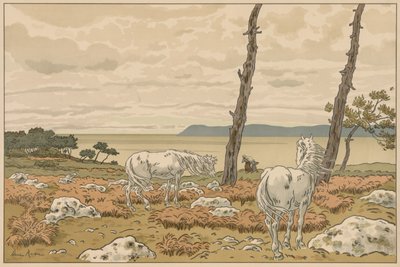 Aspetti della natura: La baia da Henri Rivière