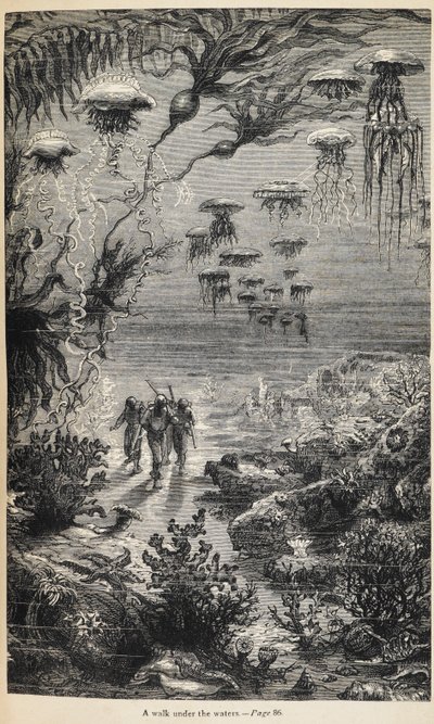 Illustrazione per 