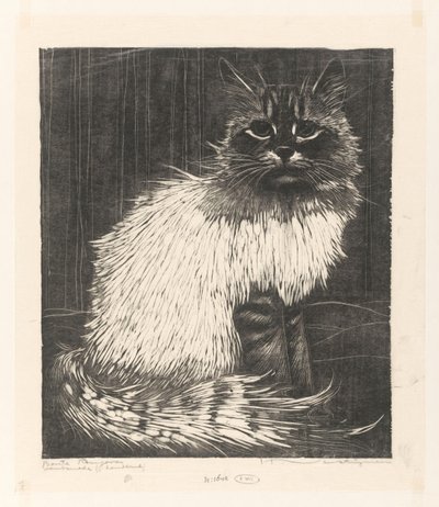 Angora variopinta da Henri Verstijnen (signed by artist)