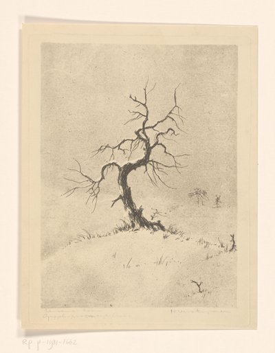 Albero solitario da Henri Verstijnen (signed by artist)