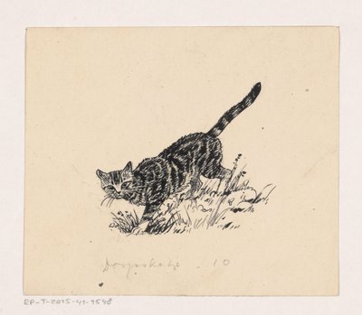Gatto da Henri Verstijnen