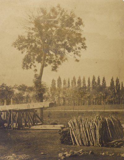 [Paesaggio con balle di tronchi d