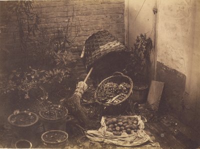 [Natura morta con cesti di paglia, ginestra, sacco di patate aperto e piante in vaso]. da Henri Victor Regnault