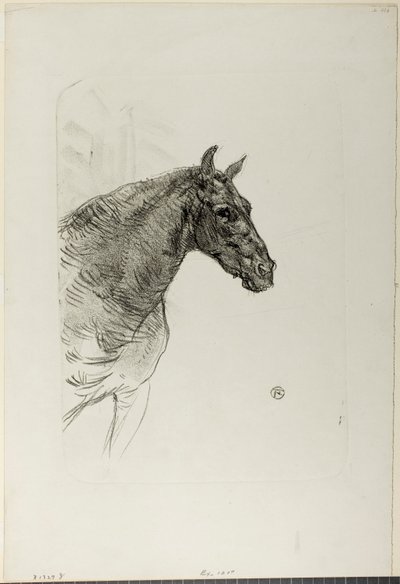 Philibert il Pony da Henri de Toulouse-Lautrec