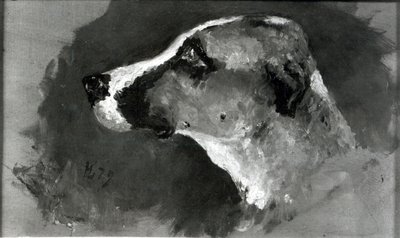 Testa di cane con orecchie corte da Henri de Toulouse Lautrec