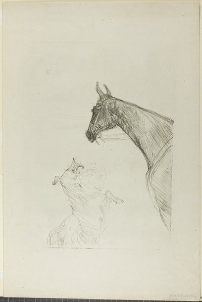 Cavallo e Collie da Henri de Toulouse Lautrec
