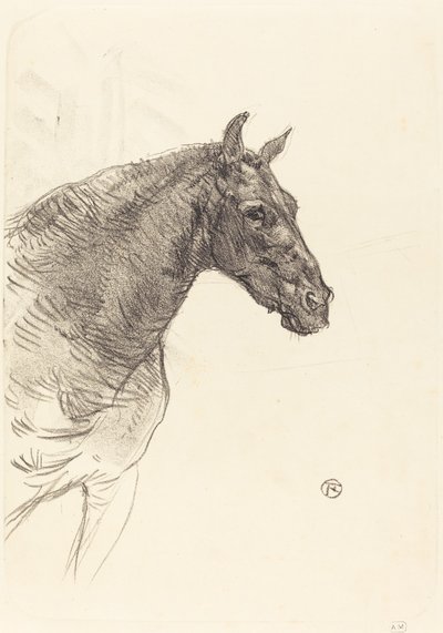 Vecchio Cavallo da Henri de Toulouse Lautrec