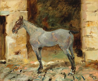 Cavallo legato da Henri de Toulouse Lautrec
