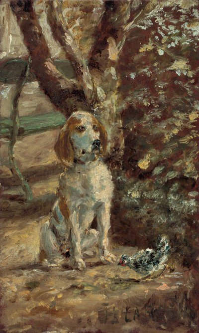 Il cane dell