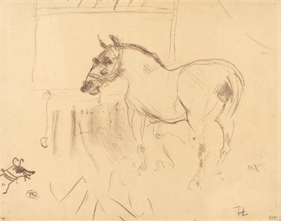 Il piccolo pony di Calmèse da Henri de Toulouse Lautrec