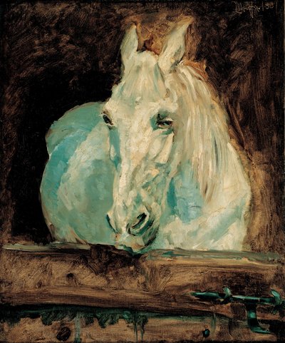 Il cavallo bianco "Gazzella", 1881 da Henri de Toulouse Lautrec