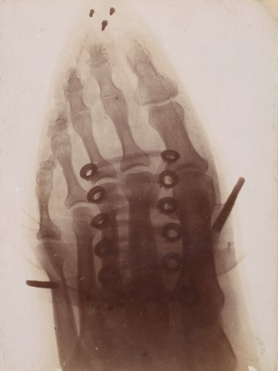 Il piede attraverso la scarpa da Henri van Heurck