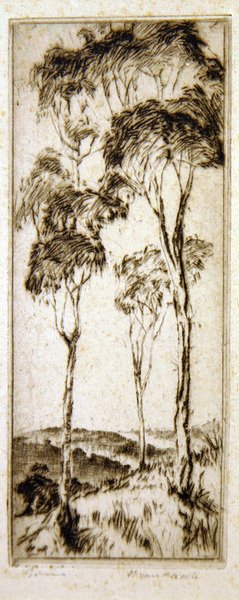Eucalipti da Henri van Raalte