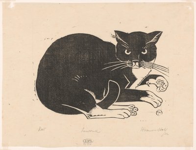 Gatto da Henri van der Stok (signed by artist)