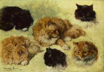 Studi di gatti da Henriëtte Ronner Knip