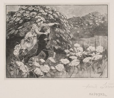 Illustrazione per H. C. Andersen: "La madre sambuco" da Henrik Arnold Hamilkar Sørensen