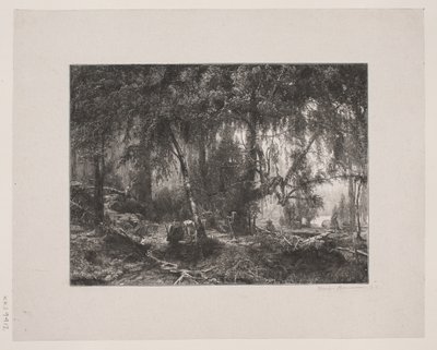 Danese: Interno foresta da Henrik Bornemann