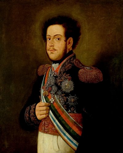 Ritratto di D. Pedro I da Henrique Jose da Silva