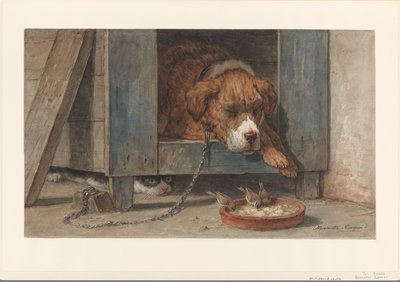 Gatto che spia uccelli vicino a un cane addormentato da Henriëtte Ronner