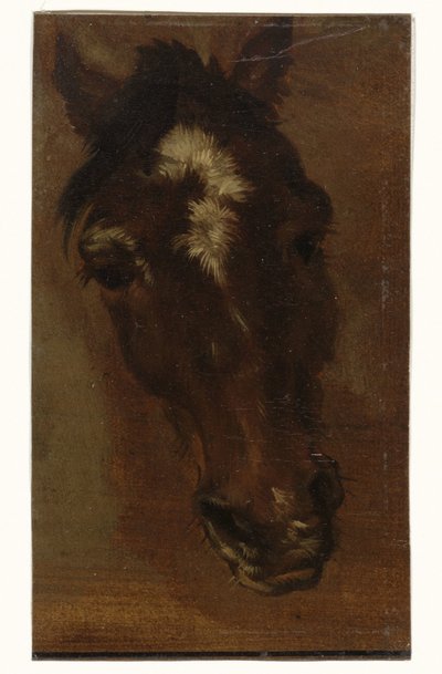 Testa di cavallo da Henriëtte Ronner