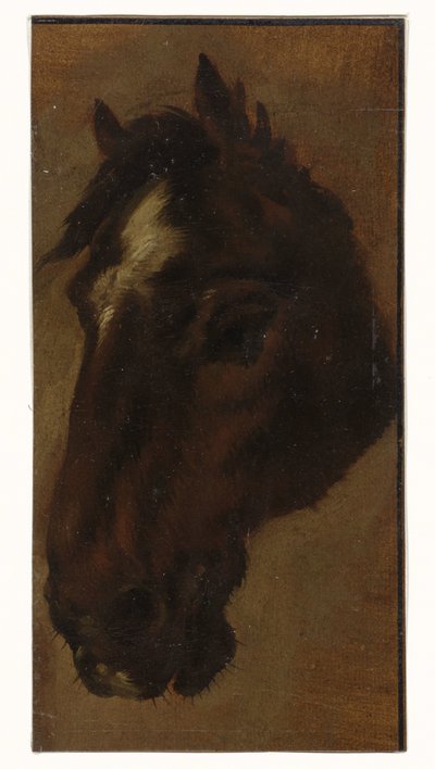 Testa di cavallo da Henriëtte Ronner