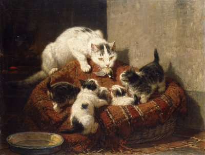 Un dono piumato da Henriëtte Ronner Knip