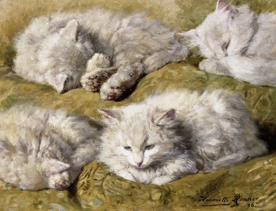 Studi di un Gatto Bianco a Pelo Lungo da Henriëtte Ronner Knip