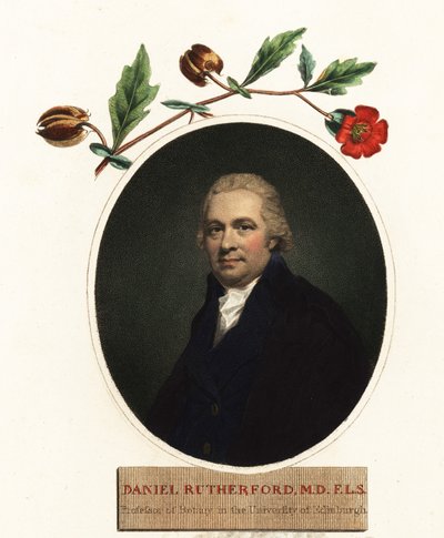 Ritratto di Daniel Rutherford, botanico (incisione) da Henry (after) Raeburn