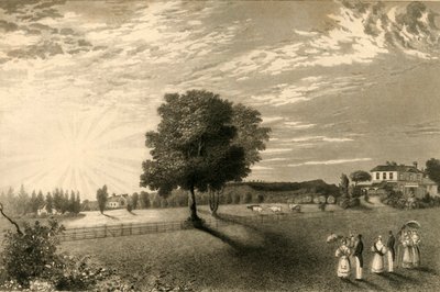 Sennicots da Henry Alexander Ogg