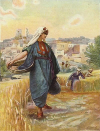 Raccolta dell