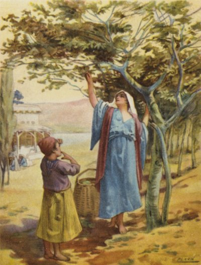 Raccolta di fichi da Henry Andrew Harper