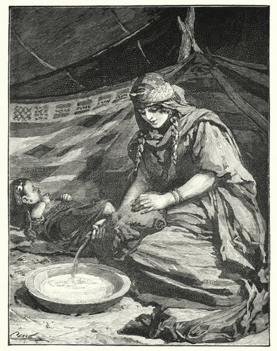 Interno di una tenda beduina (litografia) da Henry Andrew Harper