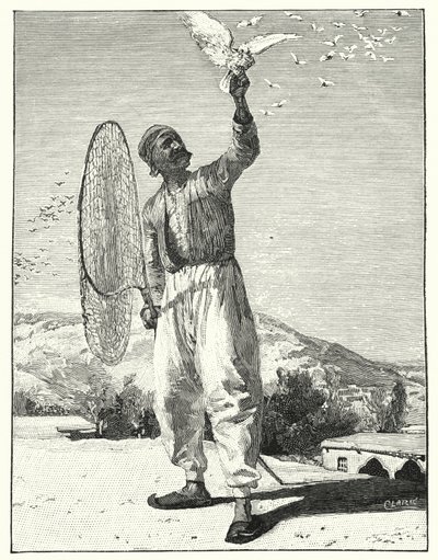 Cattura di uccelli sul tetto di una casa in Oriente (litografia) da Henry Andrew Harper