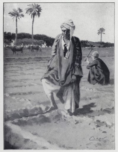 Innaffiamento con il piede a Giza, Egitto da Henry Andrew Harper