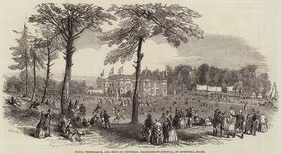 Festa della Pace, Temperanza e Fratellanza Universale, a Hartwell, Bucks da Henry Anelay