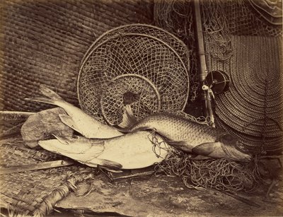 Natura morta con carpe e lucci da Henry Bailey