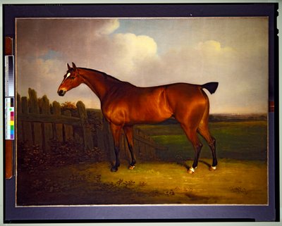 Un Cavallo da Corsa Baio, Proprietà di Charles 5° Duca di Richmond e Lennox, in un Paesaggio da Henry Bernard Chalon