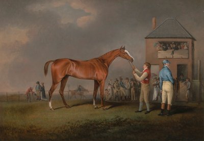 Quiz, dopo la sua ultima corsa a Newmarket da Henry Bernard Chalon