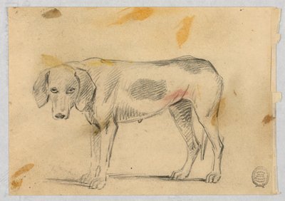 Studi di due levrieri da Henry Bernard Chalon