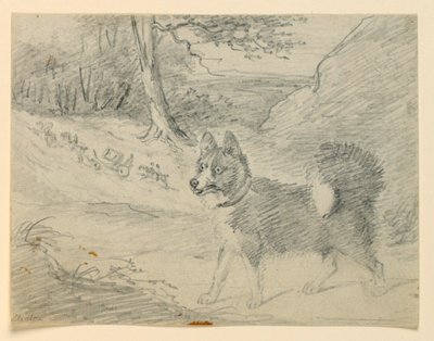 Studio di un cane alce da Henry Bernard Chalon
