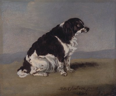 Il cane della duchessa di York da Henry Bernard Chalon