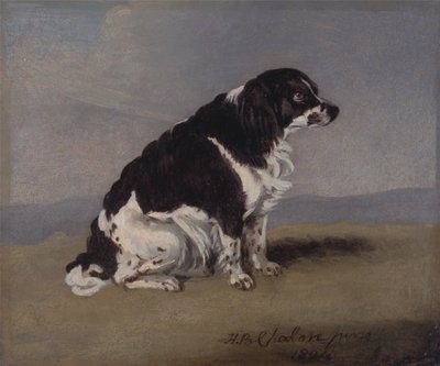 Lo spaniel della Duchessa di York da Henry Bernard Chalon